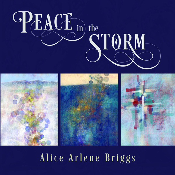 Peace in the Storm art show book