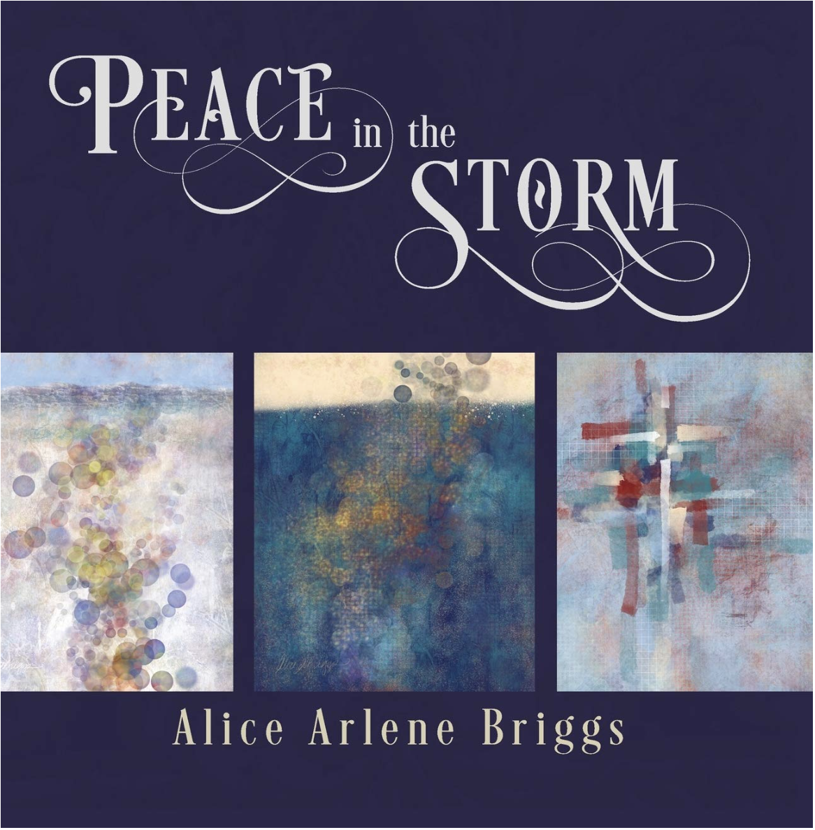 peace in the storm book
